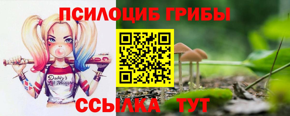 Видное  Псилоцибиновые грибы GOLDEN TEACHER  где продают   Вход с VPN 